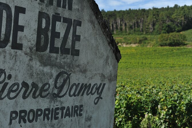 Small group Burgundy tour of Beaune with Wine Tasting from Dijon - What the guides add to the afternoon
