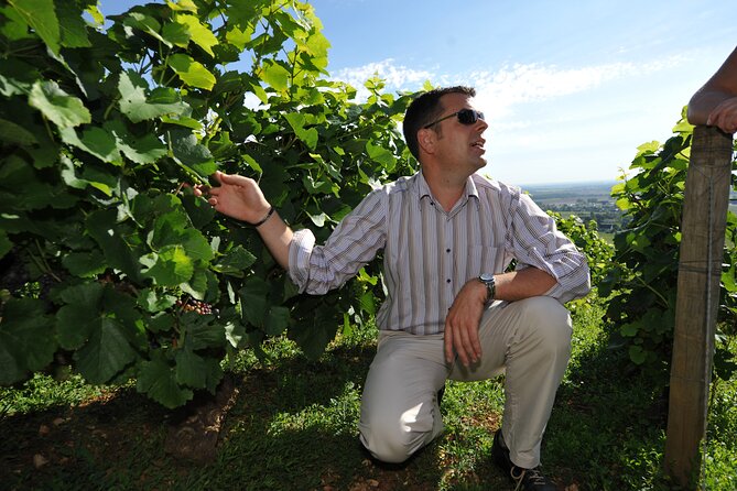 Small group Burgundy tour of Beaune with Wine Tasting from Dijon - Who will get the most from this experience?