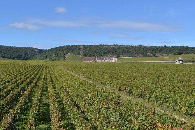 Small-Group Full-Day Tour of Côte de Nuits, Côte de Beaune Vineyards and Beaune Historical District - Why this Burgundy day works from Dijon