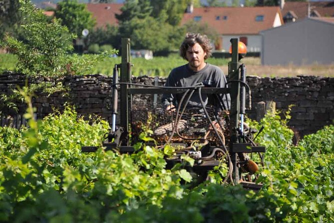 Small-Group Full-Day Tour of Côte de Nuits, Côte de Beaune Vineyards and Beaune Historical District - Is $161.32 a fair price?