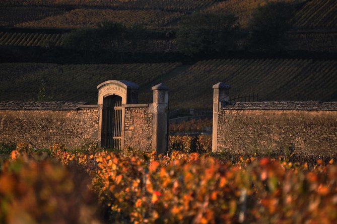 Small-Group Full-Day Tour of Côte de Nuits, Côte de Beaune Vineyards and Beaune Historical District - Who will enjoy this day most?