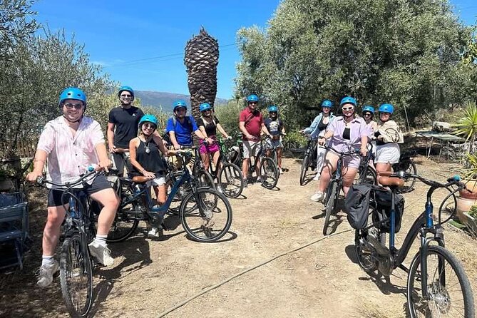 Small Group Guided E-bike Tour in Nice's Organic Vineyard - From central Nice to the Bellet wine hills