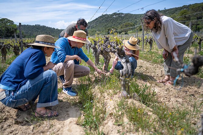 Small-Group Half-Day Languedoc Pic Saint-Loup Wine Tour from Montpellier - Guides who shape the experience