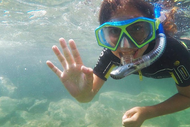 Snorkeling - By boat on site in the Bay of Cannes or Estérel - Boat comfort, music, and getting back aboard
