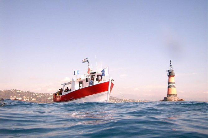 Snorkeling - By boat on site in the Bay of Cannes or Estérel - My recommendation for the Cannes coast