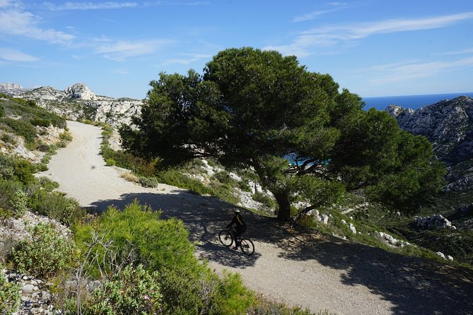Sormiou Calanques National Park Electric Bike Tour from Marseille - How difficult is the 3.5-hour ride?