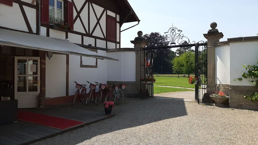 Strasbourg: 1-Day Bike Rental - A One-Day Bike Pass to Strasbourg’s Best Sights