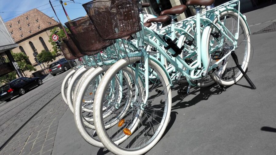 Strasbourg: 1-Day Bike Rental - Riding Through Petite France