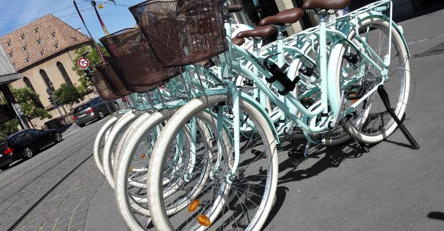 Strasbourg: 1-Day Bike Rental - Who Should Book This Strasbourg Rental?