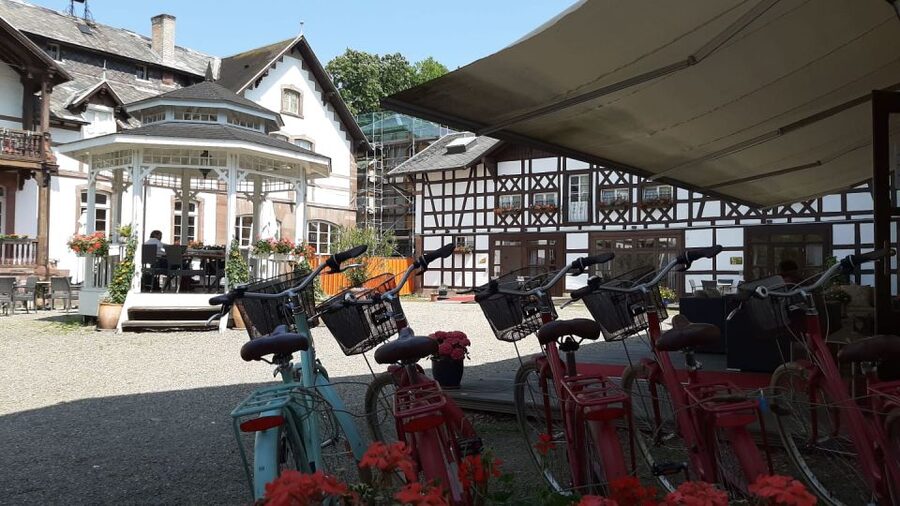 Strasbourg: 1-Day Bike Rental - From the Cathedral to the Old Center