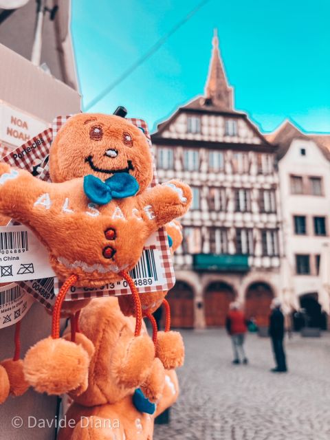 Strasbourg: Guided Historical Neighborhoods Walking Tour - How much walking, and how the weather affects it
