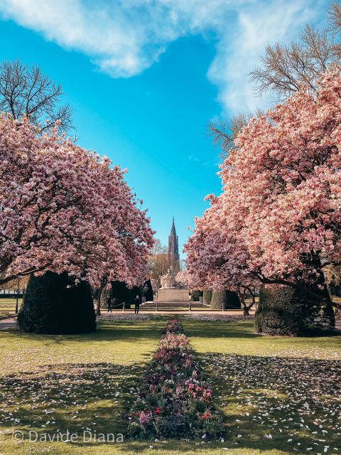 Strasbourg: Guided Historical Neighborhoods Walking Tour - Place Broglie and the city’s formal side