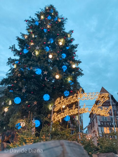 Strasbourg: Guided Historical Neighborhoods Walking Tour - Place Kléber and the famous Christmas tree