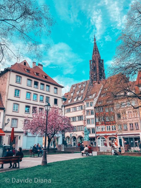 Strasbourg: Guided Historical Neighborhoods Walking Tour - Petite France, timber-framed houses, and a name with a story