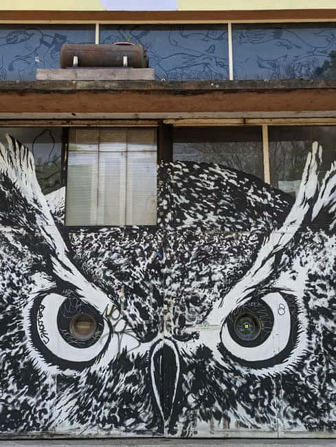 Strasbourg : Street-Art Tour - Who will enjoy this Strasbourg street-art walk?