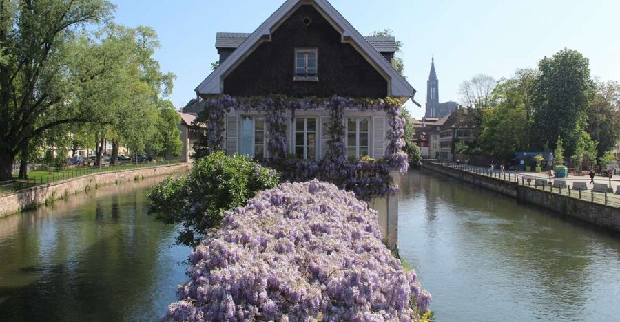 Strasbourg: Walking Tour with Local Guide - Key points at a glance