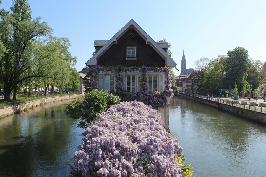 Strasbourg: Walking Tour with Local Guide - Petite France, where postcard Strasbourg becomes everyday Strasbourg