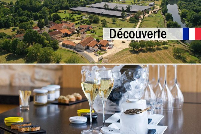 Sturgeon Fish-Farm Visit and Caviar Discovery Tasting in Neuvic - Key points to know before booking