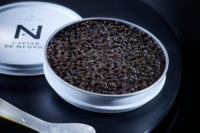 Sturgeon Fish-Farm Visit and Caviar Discovery Tasting in Neuvic - Why a sturgeon farm makes a good Dordogne stop