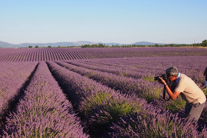 Sunset Lavender Tour in Valensole with pickup from Marseille - What the guides add to the experience