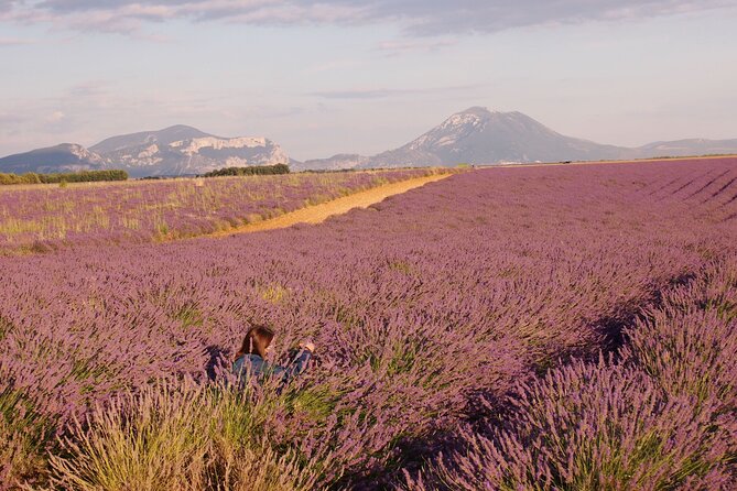 Sunset Lavender Tour in Valensole with pickup from Marseille - Reaching the Plateau de Valensole from Marseille