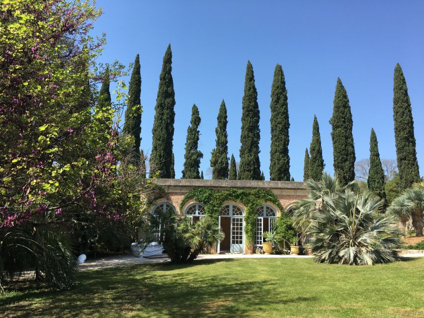 The Châteaux of Grès de Montpellier & Wine Tasting - The road to Saint-Drézéry and Château Puech Haut