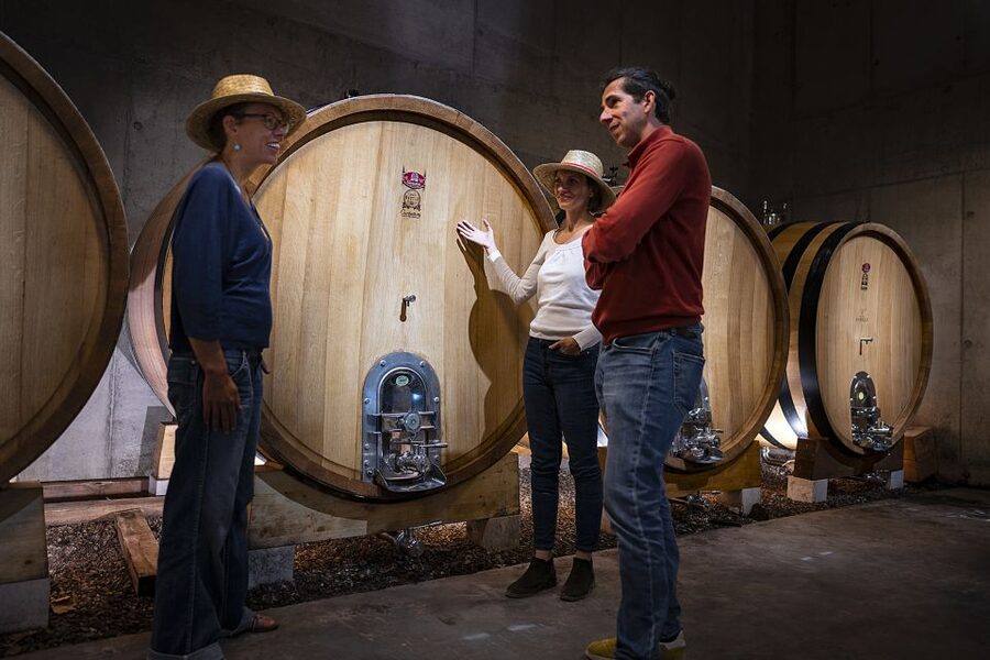 The Châteaux of Grès de Montpellier & Wine Tasting - What the wine tasting is really like