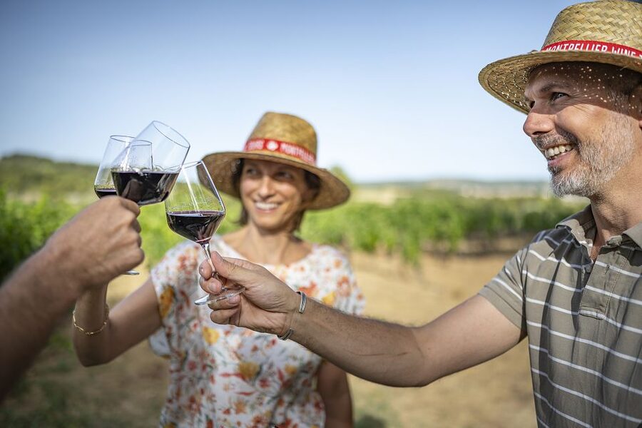 The Châteaux of Grès de Montpellier & Wine Tasting - Is $93 a fair price?