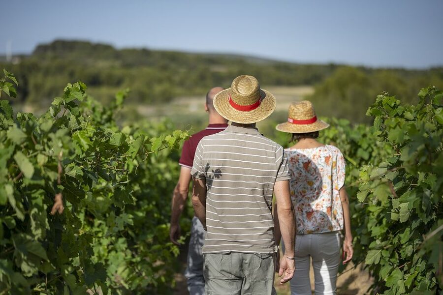 The Châteaux of Grès de Montpellier & Wine Tasting - Should you book it?