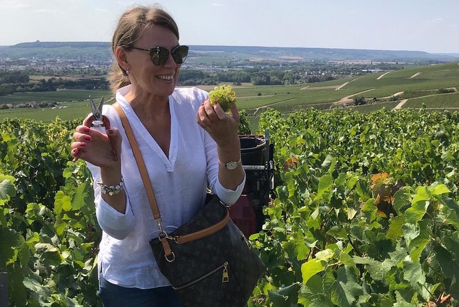The Connoisseurs from Epernay (Private Half day Champagne Tour) - Epernay’s Avenue de Champagne