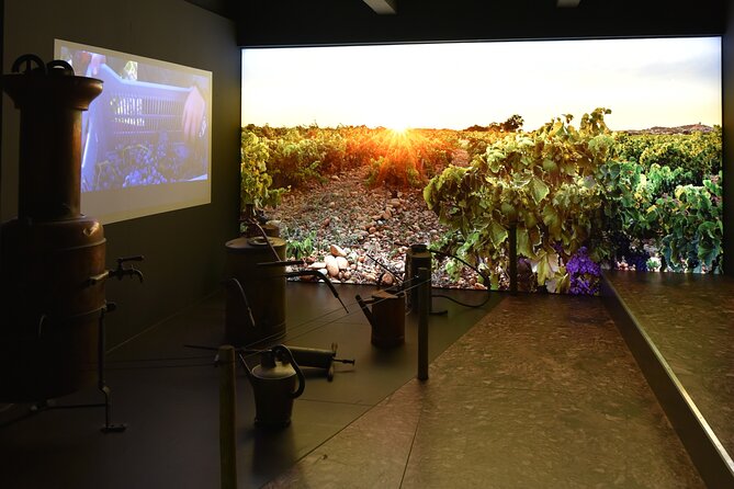 The discovery trail at Maison Brotte - How to get the most from the tasting