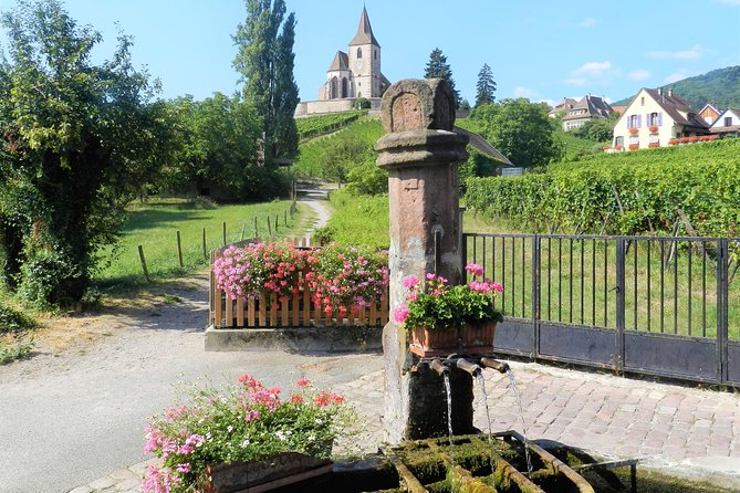 The Emblematic: visit of villages, Haut-Koenigsbourg, Wine tasting - Riquewihr and the Dolder Tower