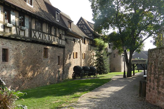 The Emblematic: visit of villages, Haut-Koenigsbourg, Wine tasting - The Wine Route and a family cellar