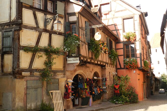 The Emblematic: visit of villages, Haut-Koenigsbourg, Wine tasting - Guides, language, and group atmosphere