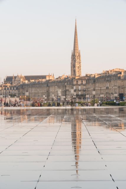 The essential in Bordeaux, private tour with a local - Food and wine advice that remains useful after the walk