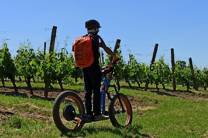 The greedy Rando Trotter of Theo - The scooter: easy to learn, physical to ride