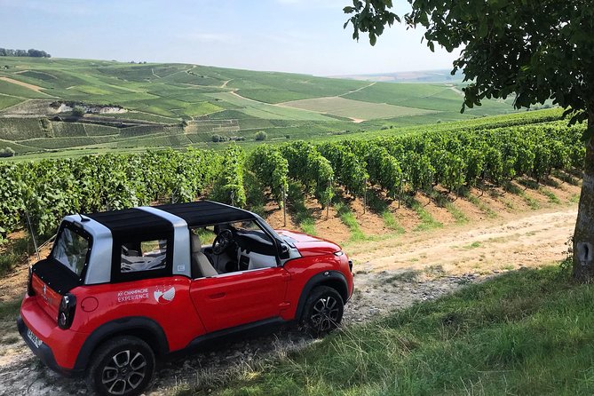 The Must-sees 3h30 from Epernay (Private Half day Champagne Tour) - Mareuil-sur-Aÿ and the Mont du Gruguet view