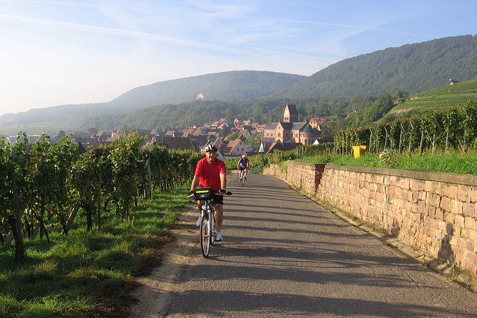 Through Alsace Vineyards and Wine Villages Private Bike Tour - What the 2 to 3 hour timing really means