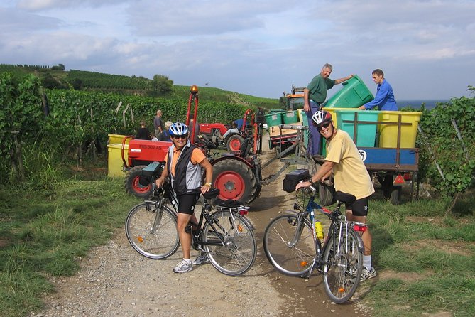 Through Alsace Vineyards and Wine Villages Private Bike Tour - How this tour compares with driving the Route des Vins