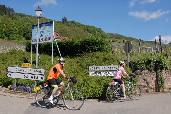 Through Alsace Vineyards and Wine Villages Private Bike Tour - Who will enjoy this private ride most