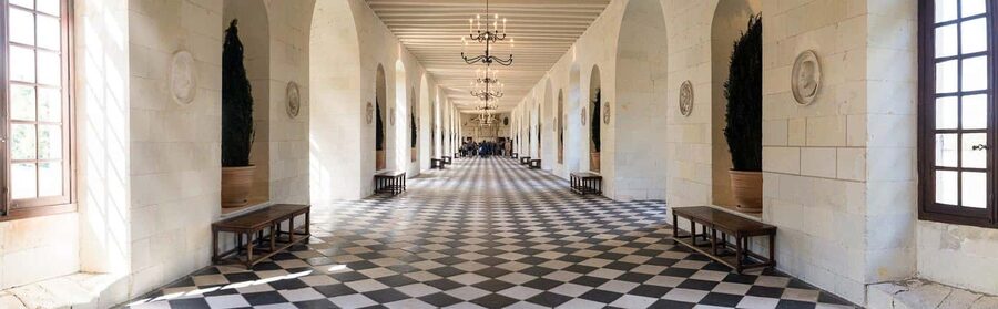 Tours/Amboise: Chambord, Chenonceau Day Trip & Wine Tasting - Key points at a glance