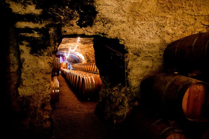Unusual visit & Tasting of our organic wines - Entering the 15th-century underground cellar