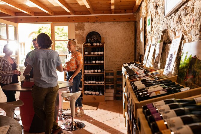 Unusual visit & Tasting of our organic wines - Five organic wines in a former stable