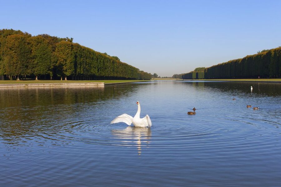 Versailles: Skip-the-Line Guided Tour of Palace with Gardens - The Hall of Mirrors at the center of the visit