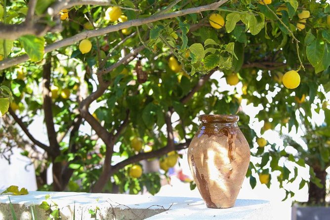 Viator Exclusive: Local Cooking Class & Dinner with View of Nice - Rolling pasta and using the garden