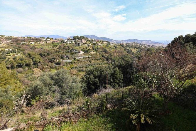 Viator Exclusive: Local Cooking Class & Dinner with View of Nice - Lemon dessert and the long table