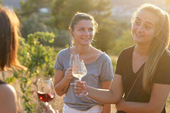 Vineyard Tour with Wine Tasting within Nice city borders - The terrace is worth a little extra time