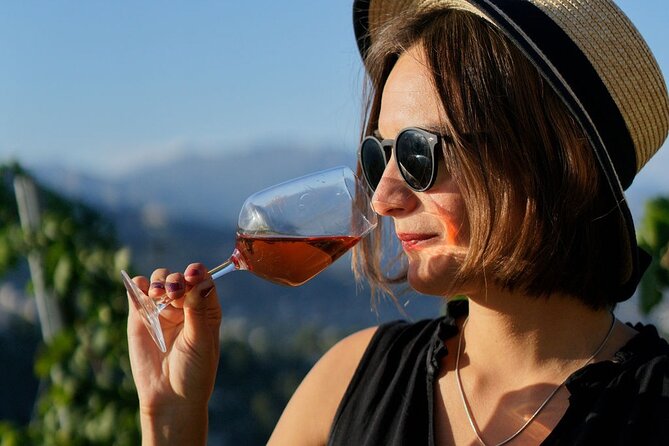 Vineyard Tour with Wine Tasting within Nice city borders - Getting to the hilltop meeting point