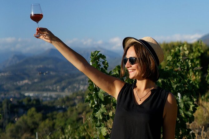 Vineyard Tour with Wine Tasting within Nice city borders - What the tour does especially well
