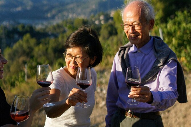 Vineyard Tour with Wine Tasting within Nice city borders - Where the experience could be better
